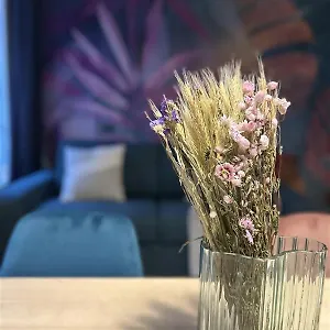  Appartement Cosy - Quartier Saint-georges - 4p